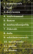 คาราโอเกะ - เพลงไทยยอดนิยม ชุด 10 VCD1776-web2